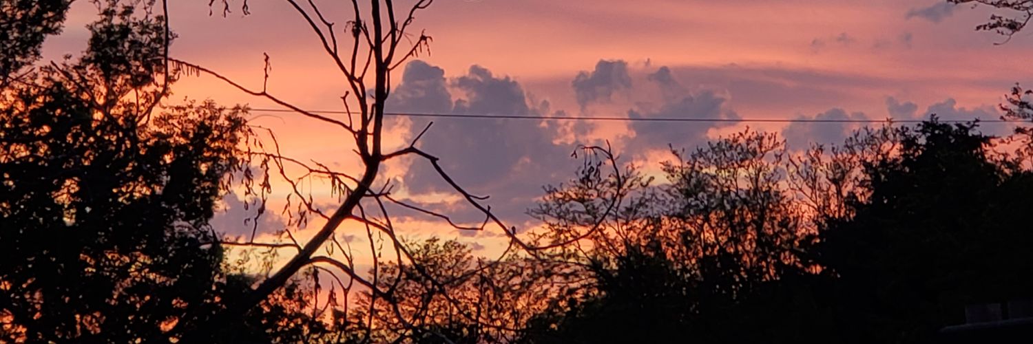 zoeeboee16's profile banner image