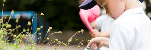 BeddingtonInf Profile Banner
