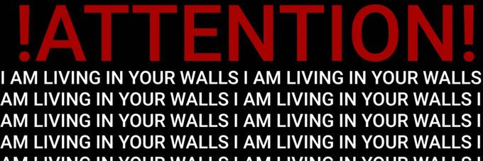 Tony Feloni 🔻 banner