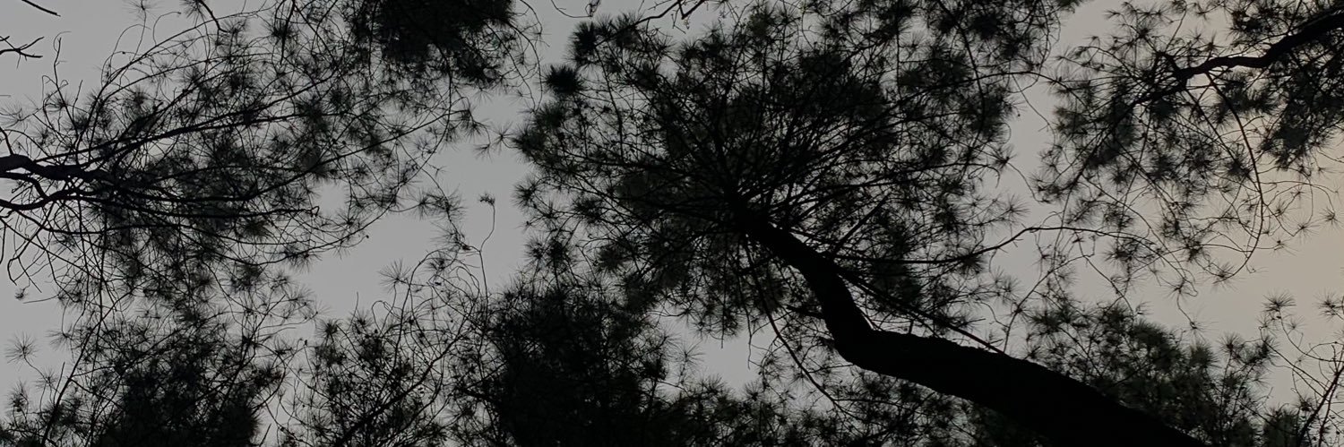 night vibesss banner