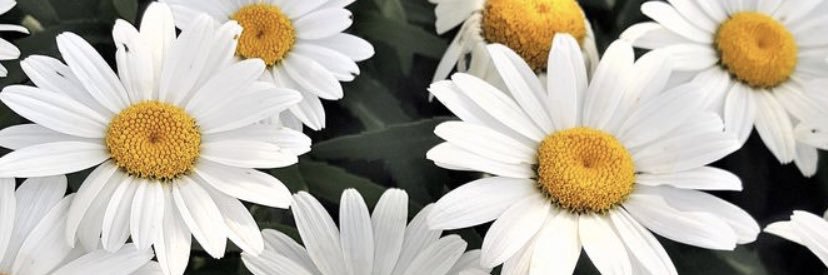 LoveeNessaa's profile banner image