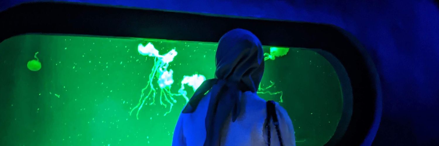getbays's profile banner image
