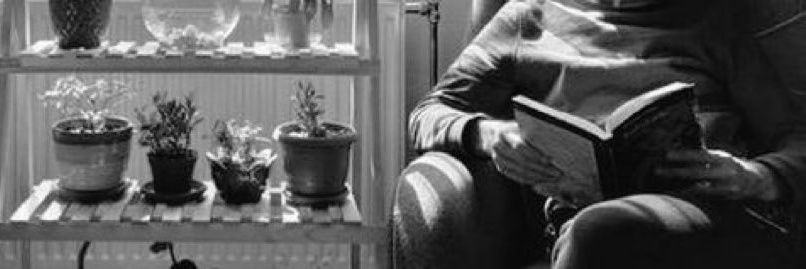 Fatma Boncuk banner