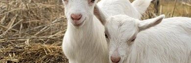 LameGame21's profile banner image