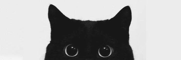 a𝘴hіᥱ ᡴꪫ banner