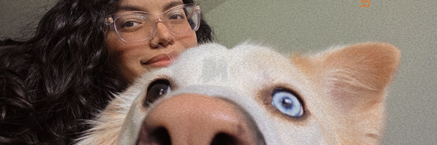 Lilyorkaa's profile banner image
