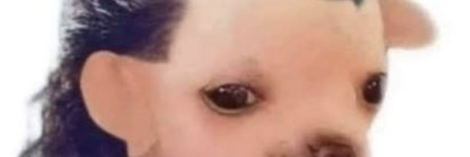 Caaarmeen00's profile banner image