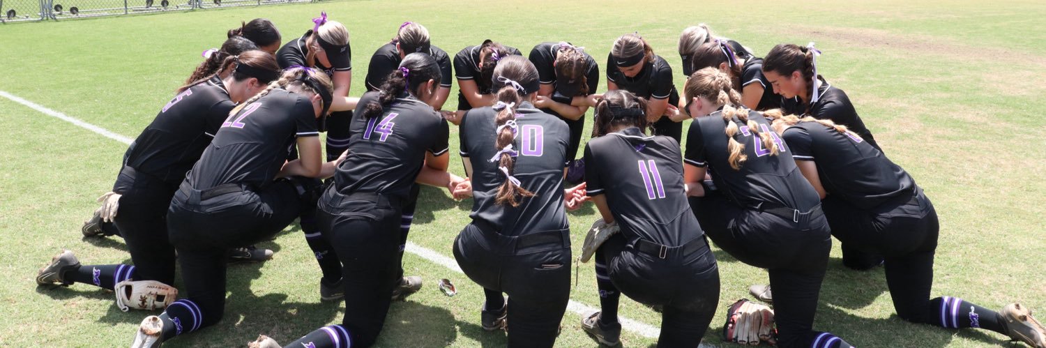 Millsaps Softball banner