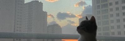 jxnorm | อยากเป็นหมอ banner