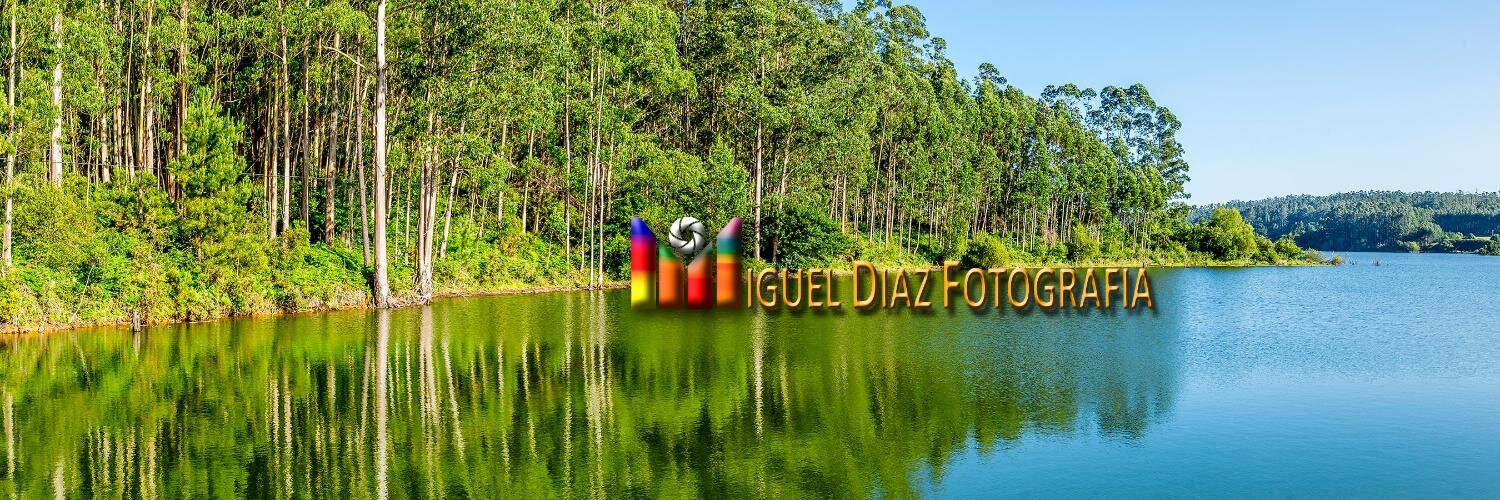 MiguelDRey's profile banner image