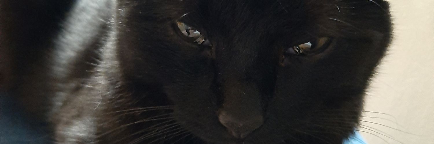 Valucrucia's profile banner image
