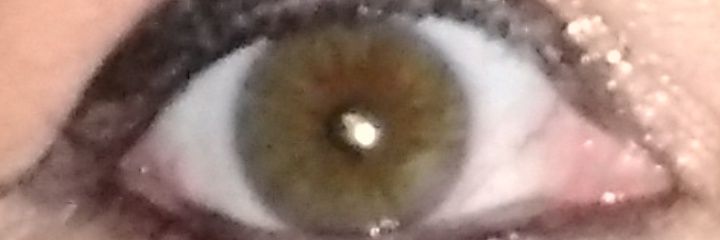 Sandra Castello Branco🇧🇷 banner