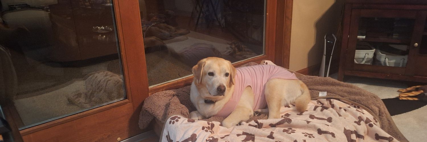 Robert Buckey banner