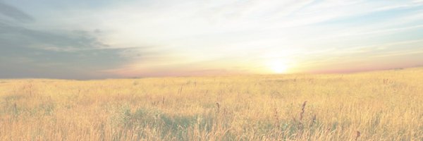 KakadoodleFarm Profile Banner