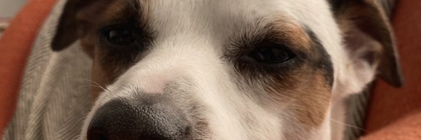 AngioPod Profile Banner