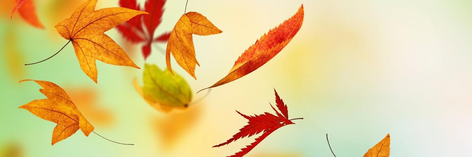 Fairmount Child Care banner