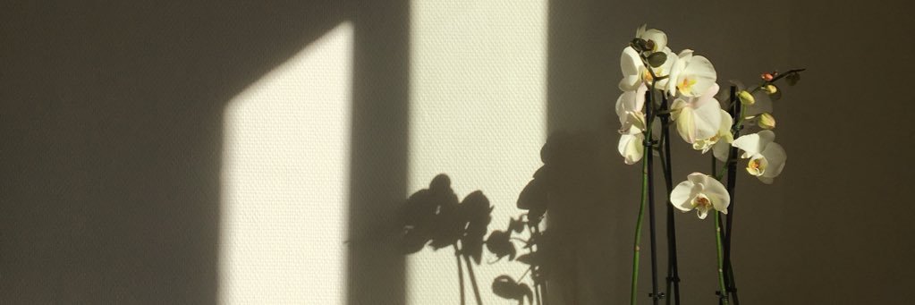 le_tournant's profile banner image