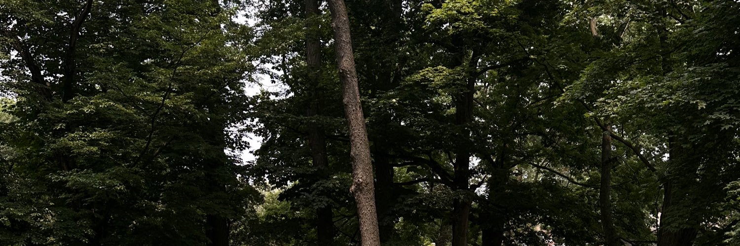 ♉︎'s banner