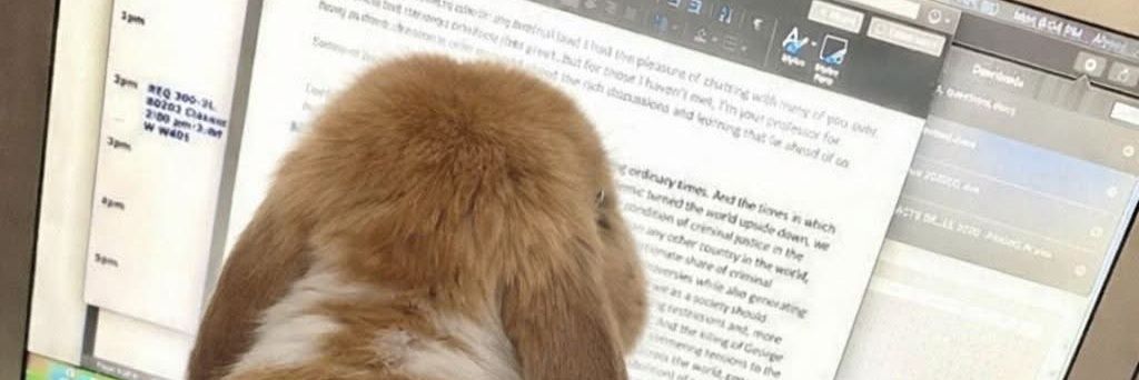 ezreal pussy indulgence banner