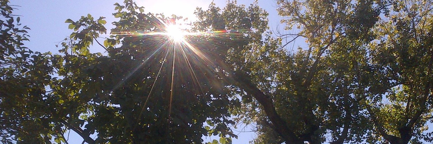 SandratNu's profile banner image