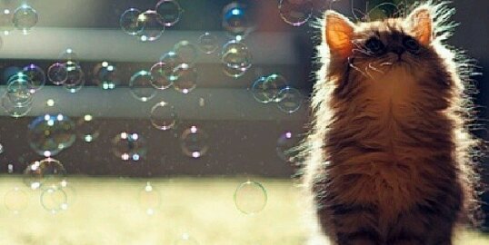 sicinat's profile banner image
