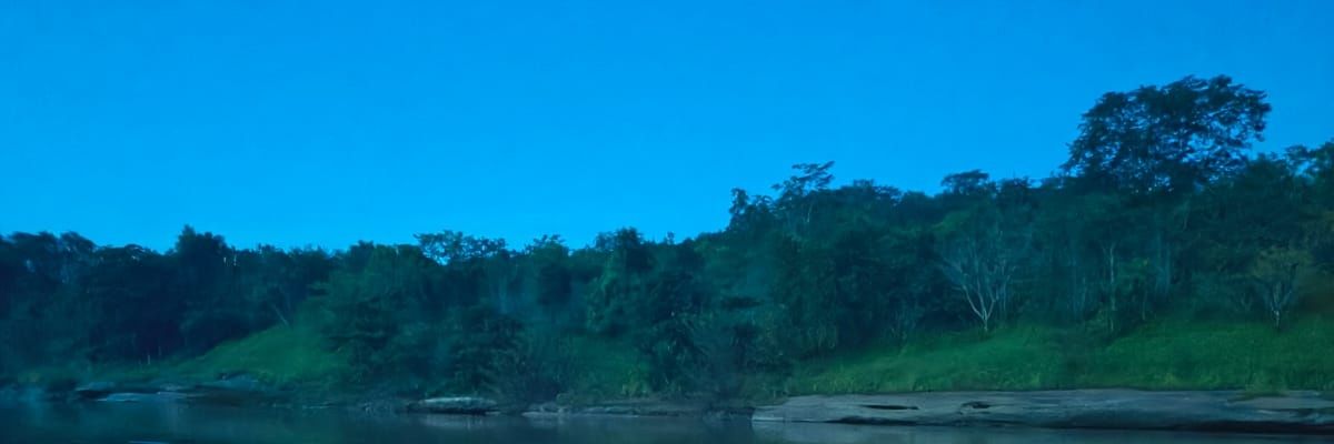 bixapada's profile banner image