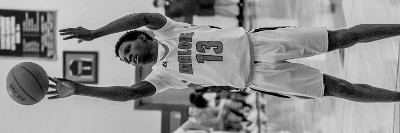 Rio👾 banner