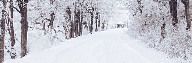 ChristinaElena0's profile banner image