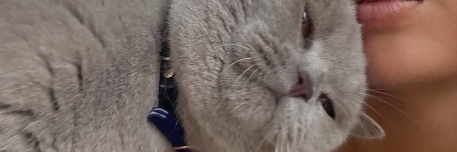 ➿'s banner