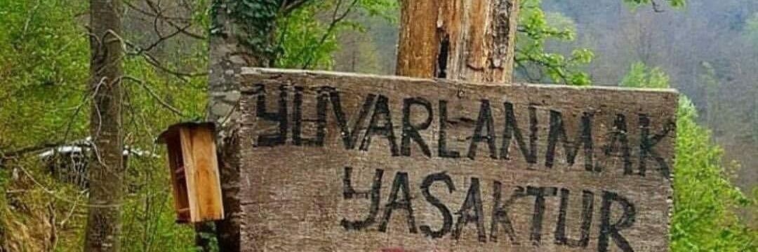 Laz Kizi 🇹🇷 banner
