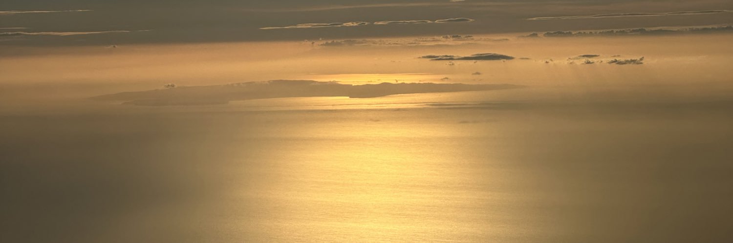 joysisa's profile banner image