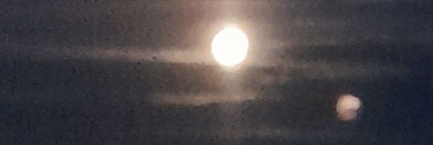 namecannotbeblank banner