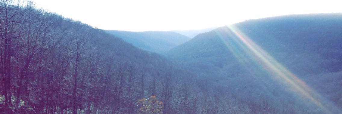 danieljmartin99's profile banner image