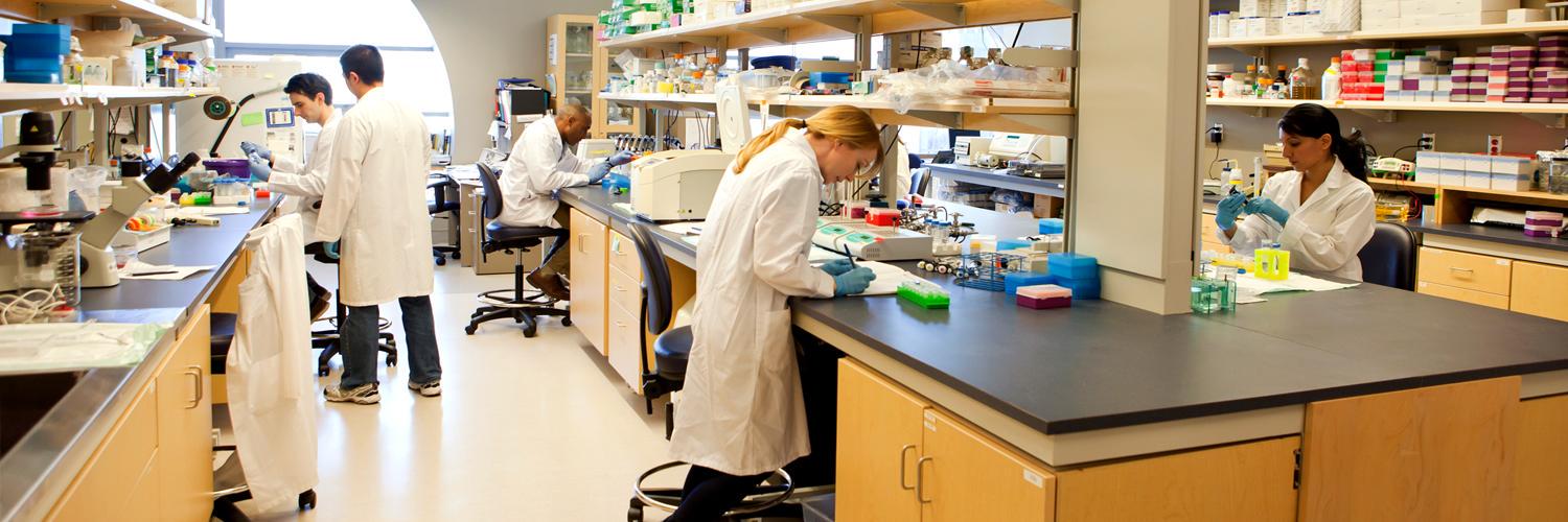 LabFriend's profile banner image