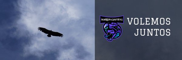 BasiliskEs Profile Banner