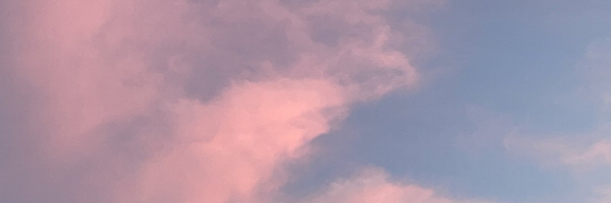 TerynMichele's profile banner image