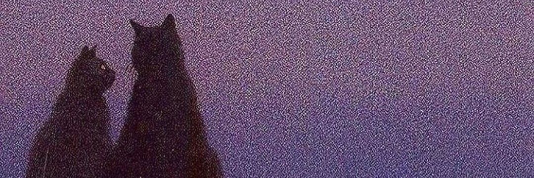 emineceritt's profile banner image