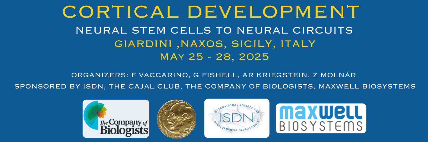 Cortical Development 2025 Sicily's banner