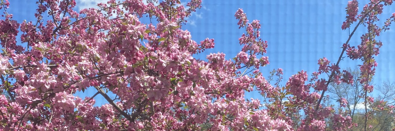 Isabelle “Is” Curtis banner