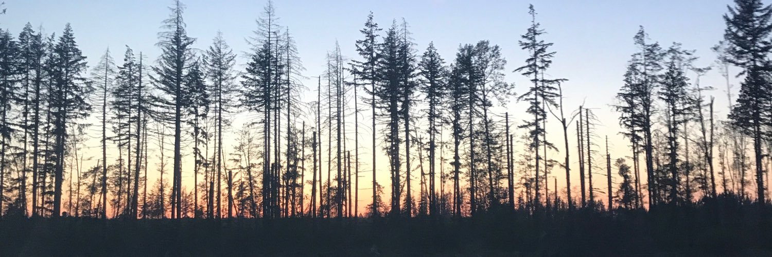 CalliJordan's profile banner image