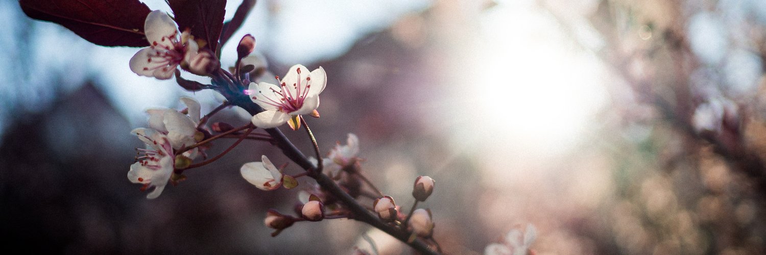 Andreas Springer 💉💉💉🦠 💉 💉 banner