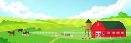 PollitaKiller's profile banner image