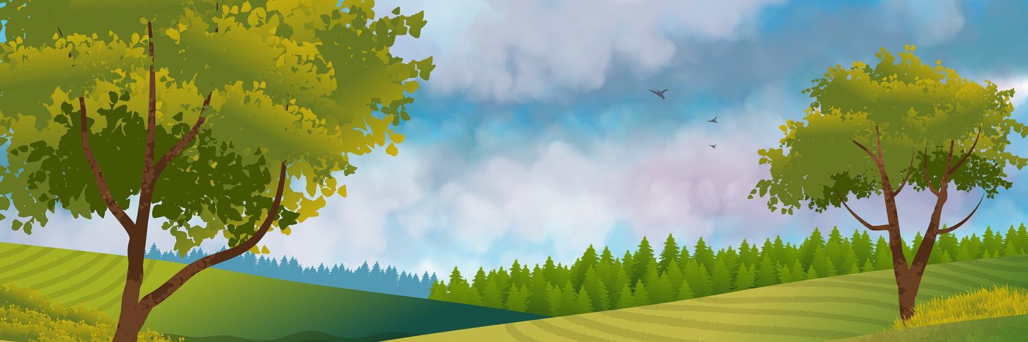 taroppinote's profile banner image