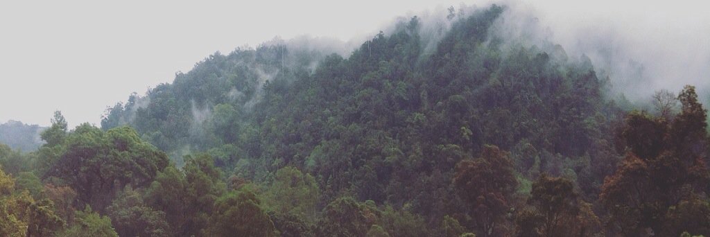 kribonjol's profile banner image