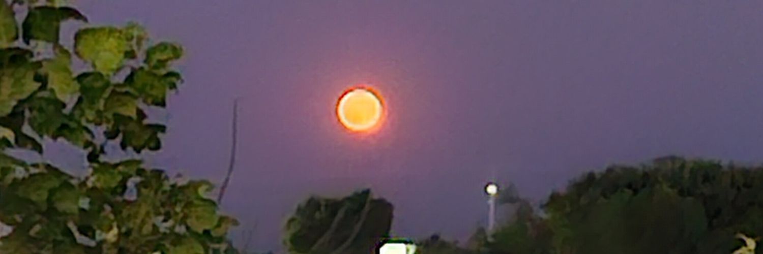 Danny Craddock banner