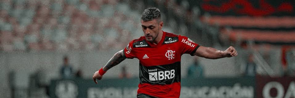 eduardaamcs's profile banner image