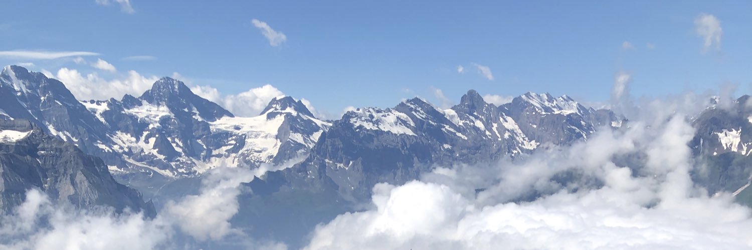 Krissy Burroughs banner