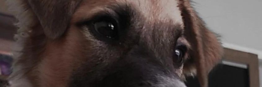 insuportavel90's profile banner image
