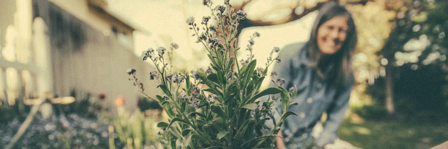 Compost Revolution banner