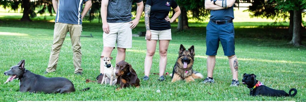 DogWizardLvKy's profile banner image